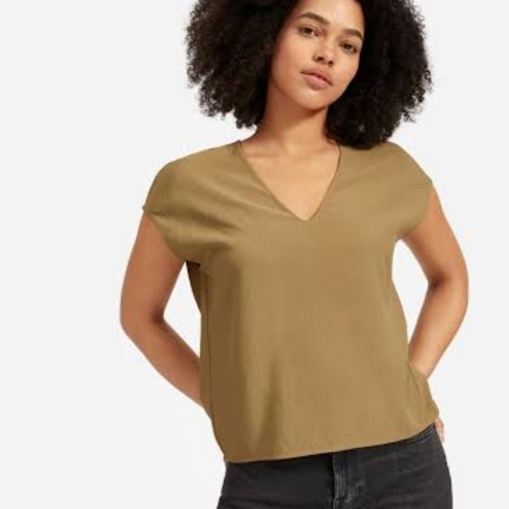 NWT Everlane Japanese GoWeave V-neck